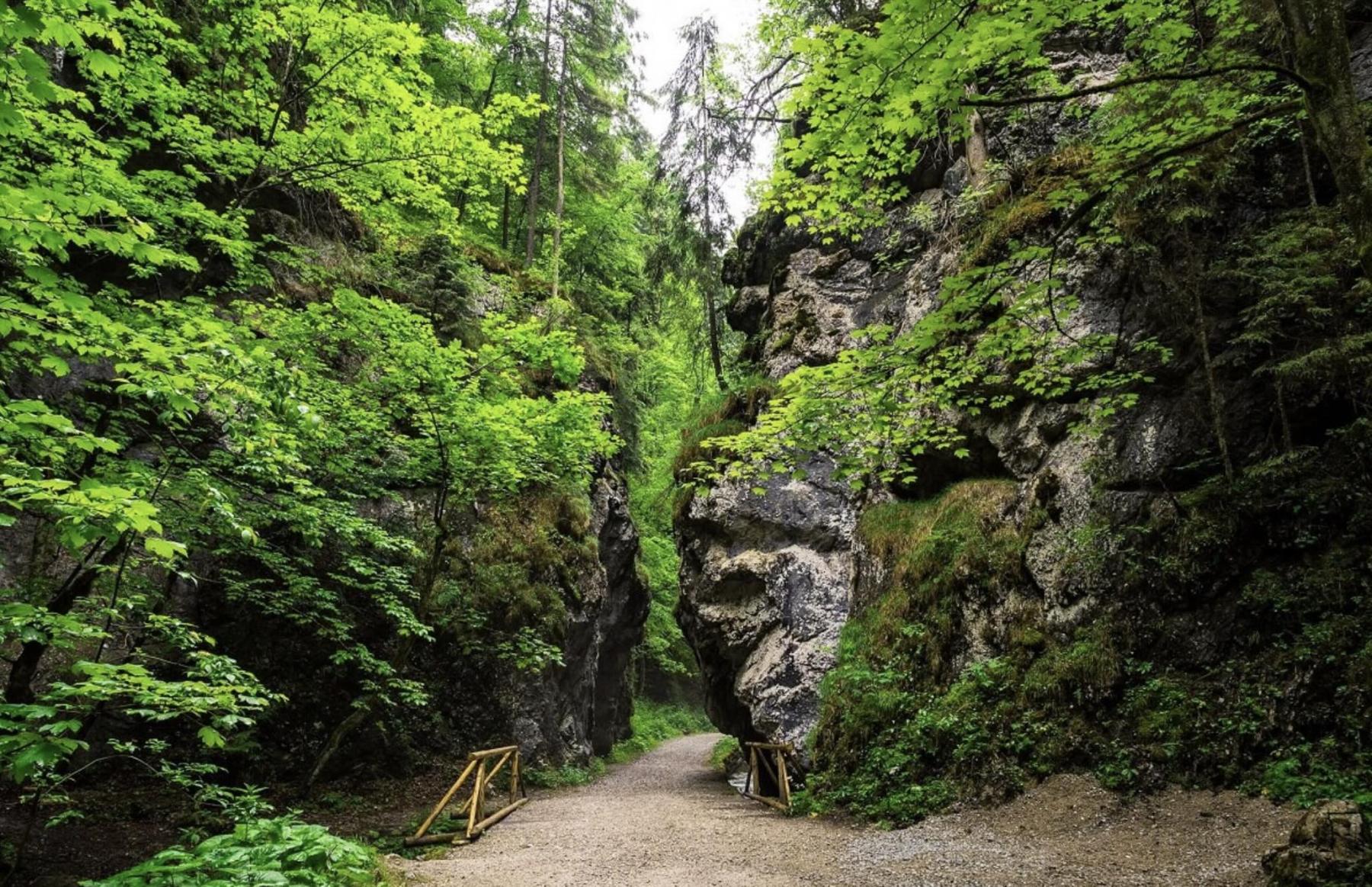 Blatnický hrad + Gaderská dolina